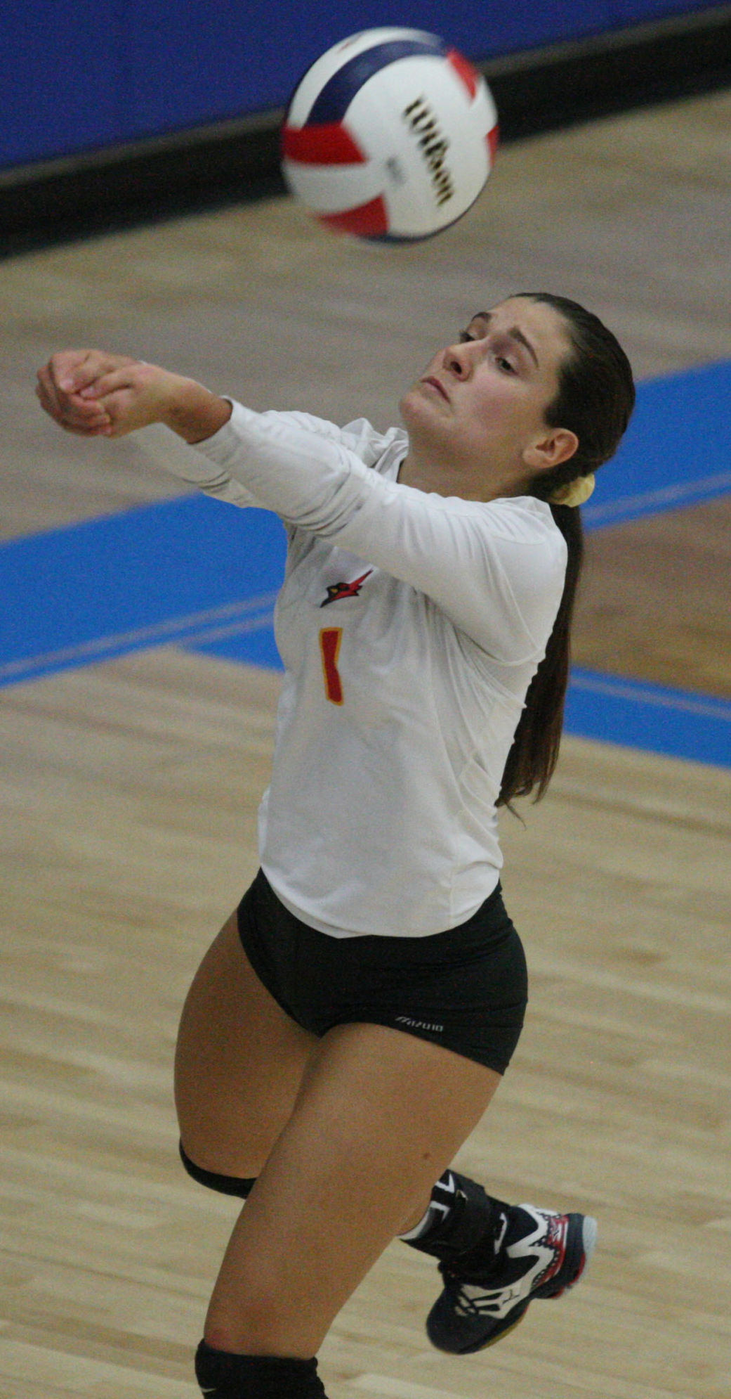 AO vs WL volleyball 24 10.23.17.jpg